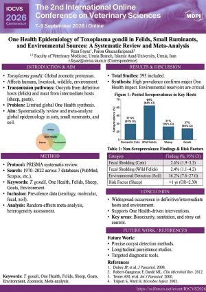 Reza Fayaz _ Poster.pdf